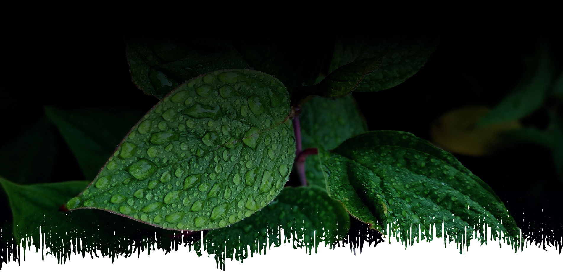 Slide6